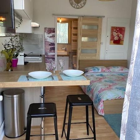 Le Cosy Tassin - Rez De Jardin Apartment Exterior foto