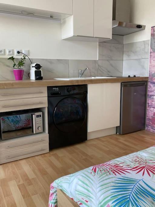 Le Cosy Tassin - Rez De Jardin Apartment Exterior foto